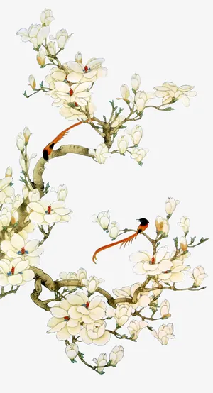 中国风白色花鸟装饰素材免抠 中国风白色花鸟装饰素材免抠