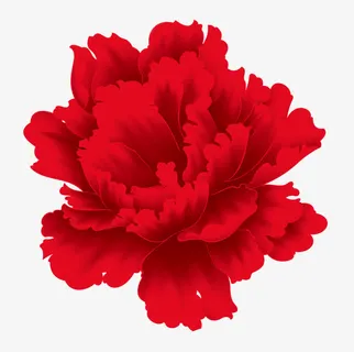 春节红色牡丹花朵免抠节日其他节日元素 春节红色牡丹花朵免抠节日其他节日元素