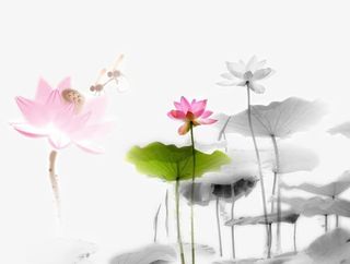 中国风水墨莲花免抠