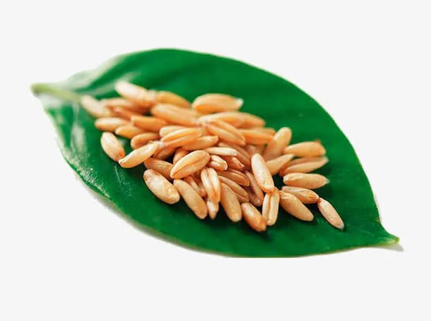 叶子上面有燕麦免抠