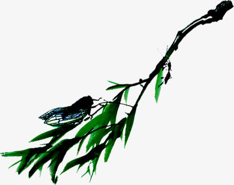 绿色夏日蝉鸣昆虫免抠