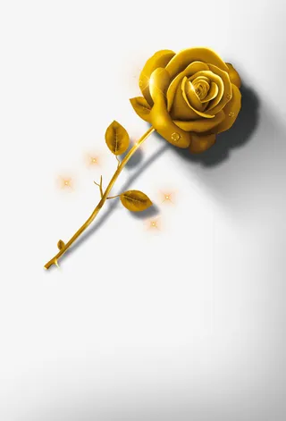 金色玫瑰花免抠