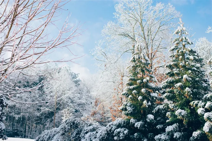 冬天雪景自然风景高清