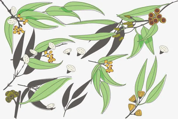 矢量图木棉花免抠