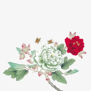 水彩古风粉红色牡丹花免抠