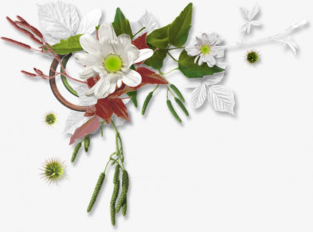 白色小花免抠