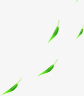 高清摄影活动海报高斯模糊绿叶免抠