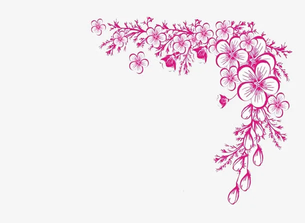 花边花蕊花瓣免抠