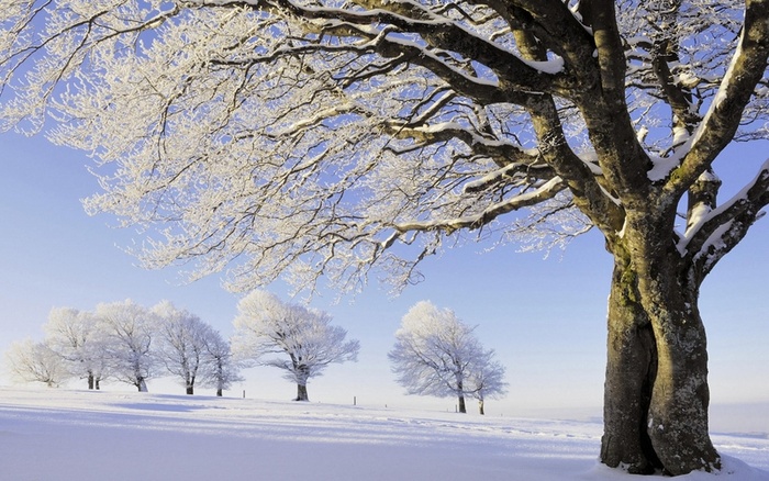 雪景 雪天背景 背景高清