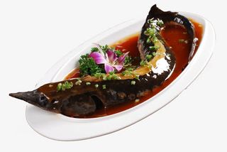 红烧中华鲟免抠
