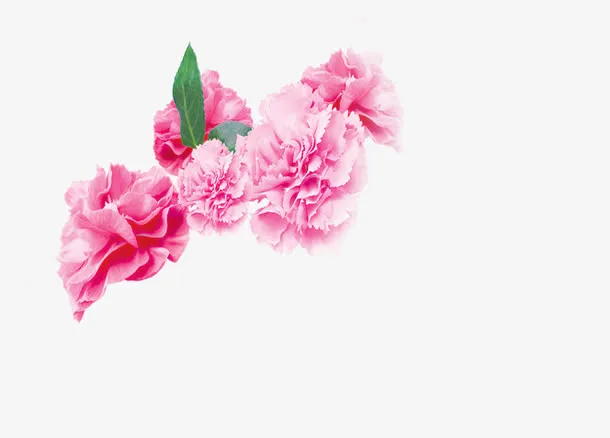 粉色温馨花朵装饰母亲节免抠