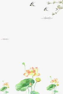 夏日荷塘月色荷花主题边框免抠