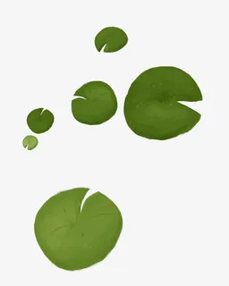 漂浮花瓣气泡简洁大方树叶树丛免抠