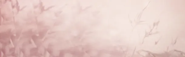 褐色背景树枝素材banner