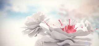 手绘荷花矢量图高清