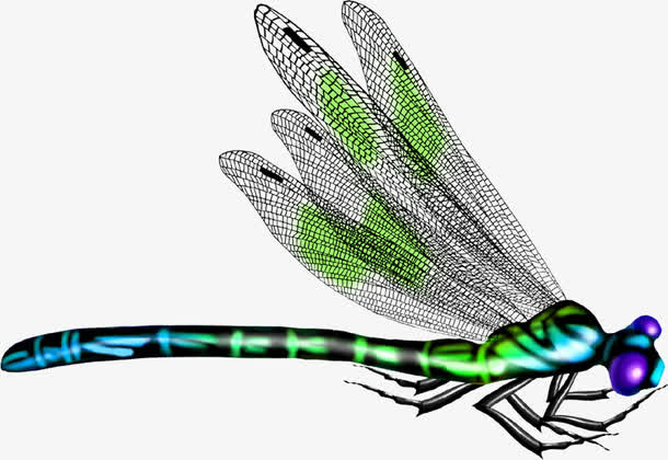绿色蜻蜓免抠