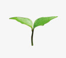 端午节电商版面免抠