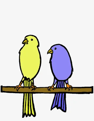 停留树枝上的的小鸟免抠