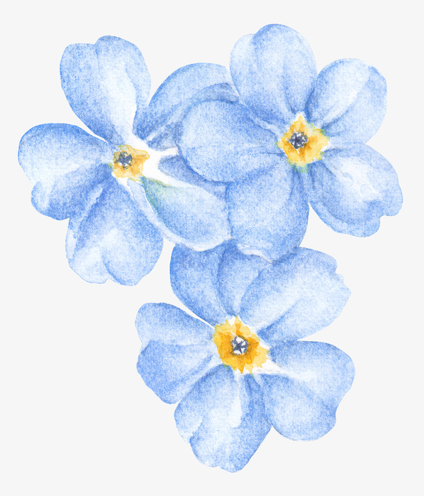 手绘蓝色唯美花朵免抠图免抠