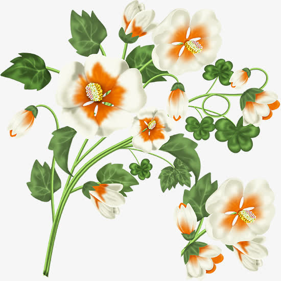一束鲜花免抠
