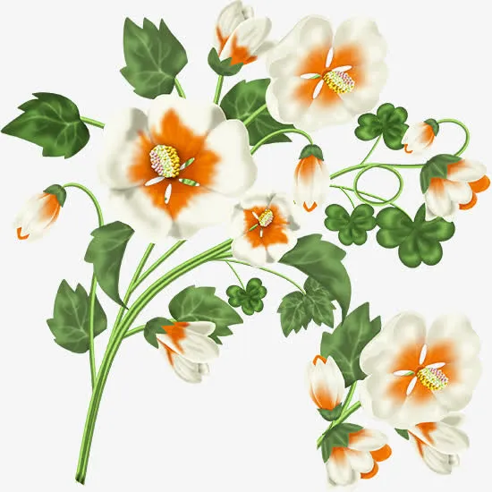 一束鲜花免抠