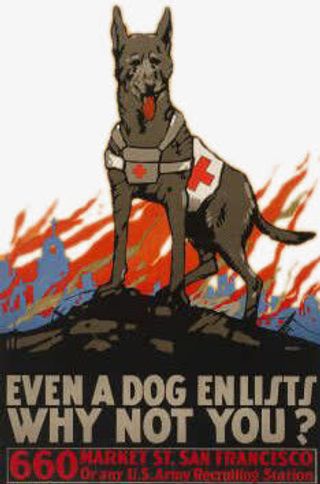 战火中的医疗搜救犬免抠