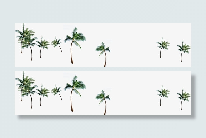 夏季椰树背景素材