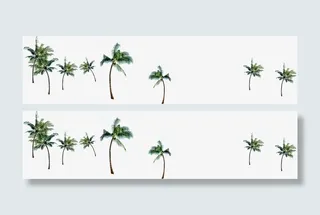 夏季椰树背景素材