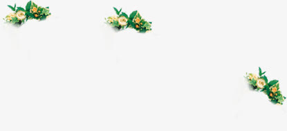 绿草免抠