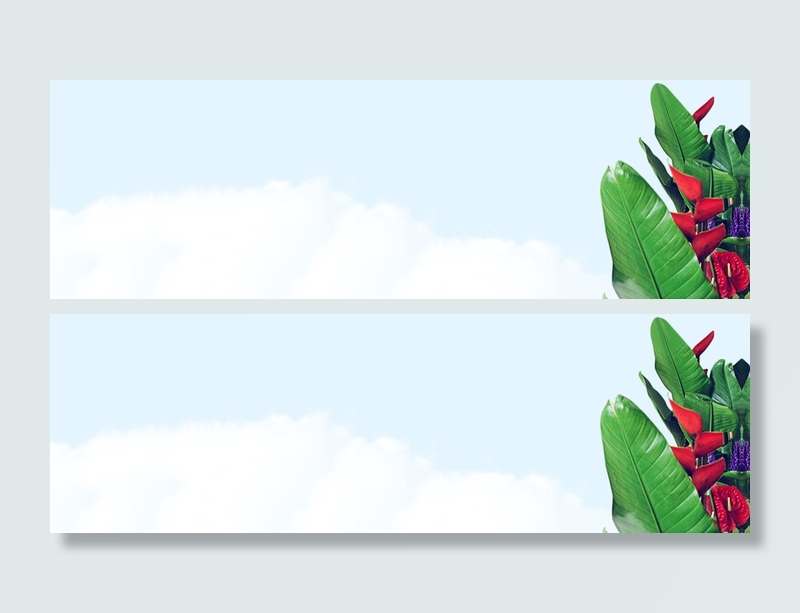 简单花朵背景高清