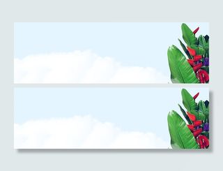 简单花朵背景高清