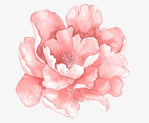 手绘花朵免抠