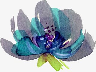 手绘水彩花朵png免抠