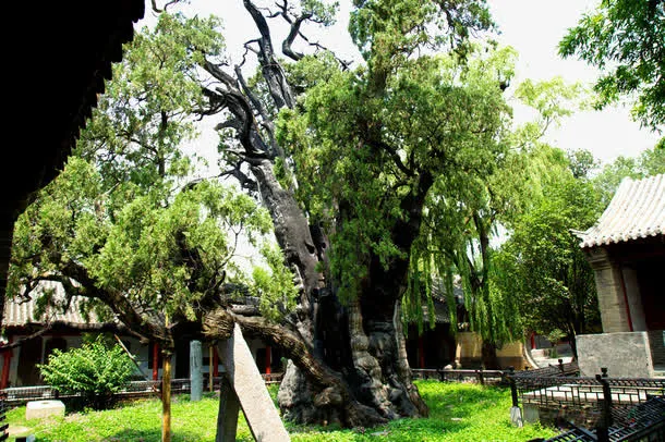 中岳嵩山摄影图片免抠