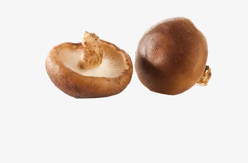 两只香菇免抠 两只香菇免抠