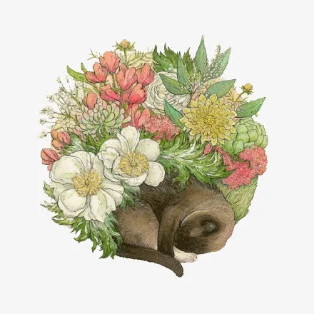 清新唯美插画一花一世界免抠