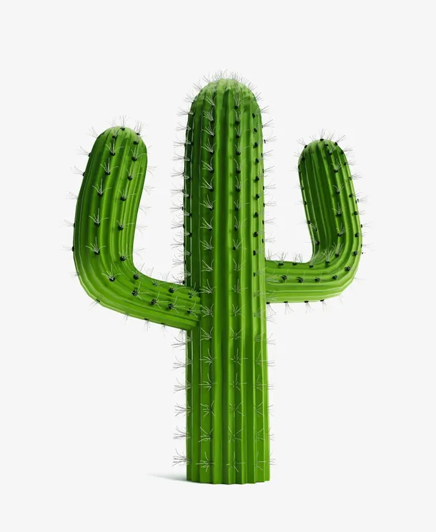 仙人掌PNG素材免抠