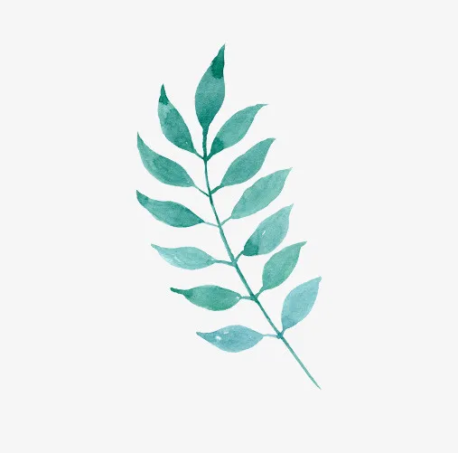 手绘水彩树枝免抠