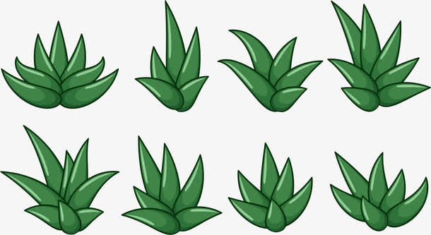 各种草免抠