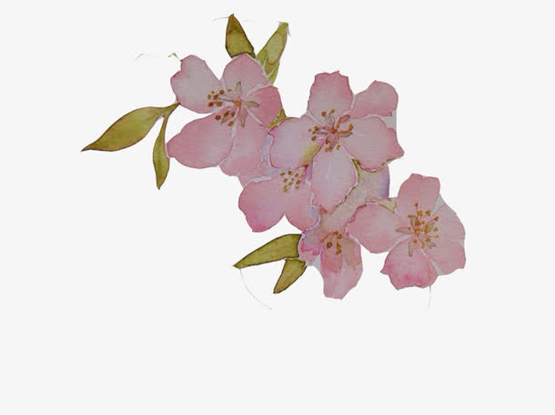 生活的美免抠