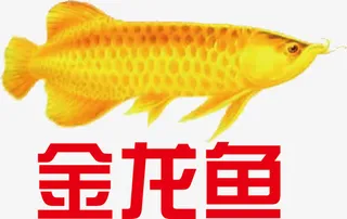 金龙鱼logo下载免抠