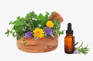 SPA木盘里的花草免抠