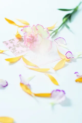 紫色淡雅唯美花朵植物母亲节免抠