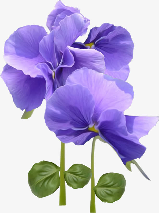 漂亮紫色花朵免抠