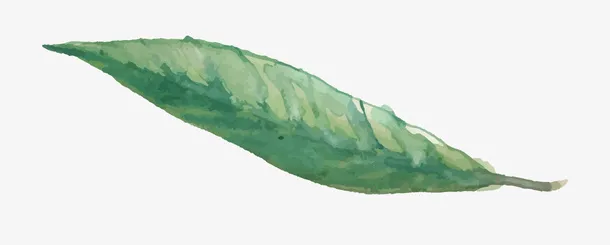 气泡图片手绘气泡图片免抠