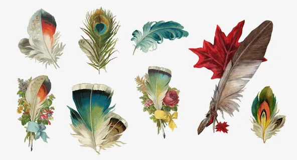 彩色羽毛手绘图免抠 彩色羽毛手绘图免抠