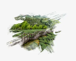 茶园背景免抠背景摄影风景元素