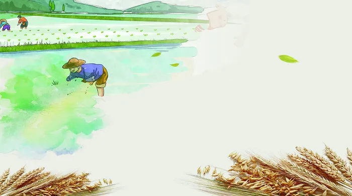 节约粮食     杜绝浪费高清