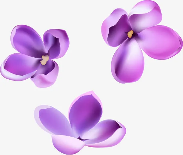 矢量手绘紫色花朵免抠