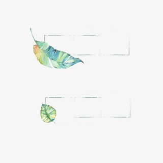 清新唯美简约绿叶边框免抠